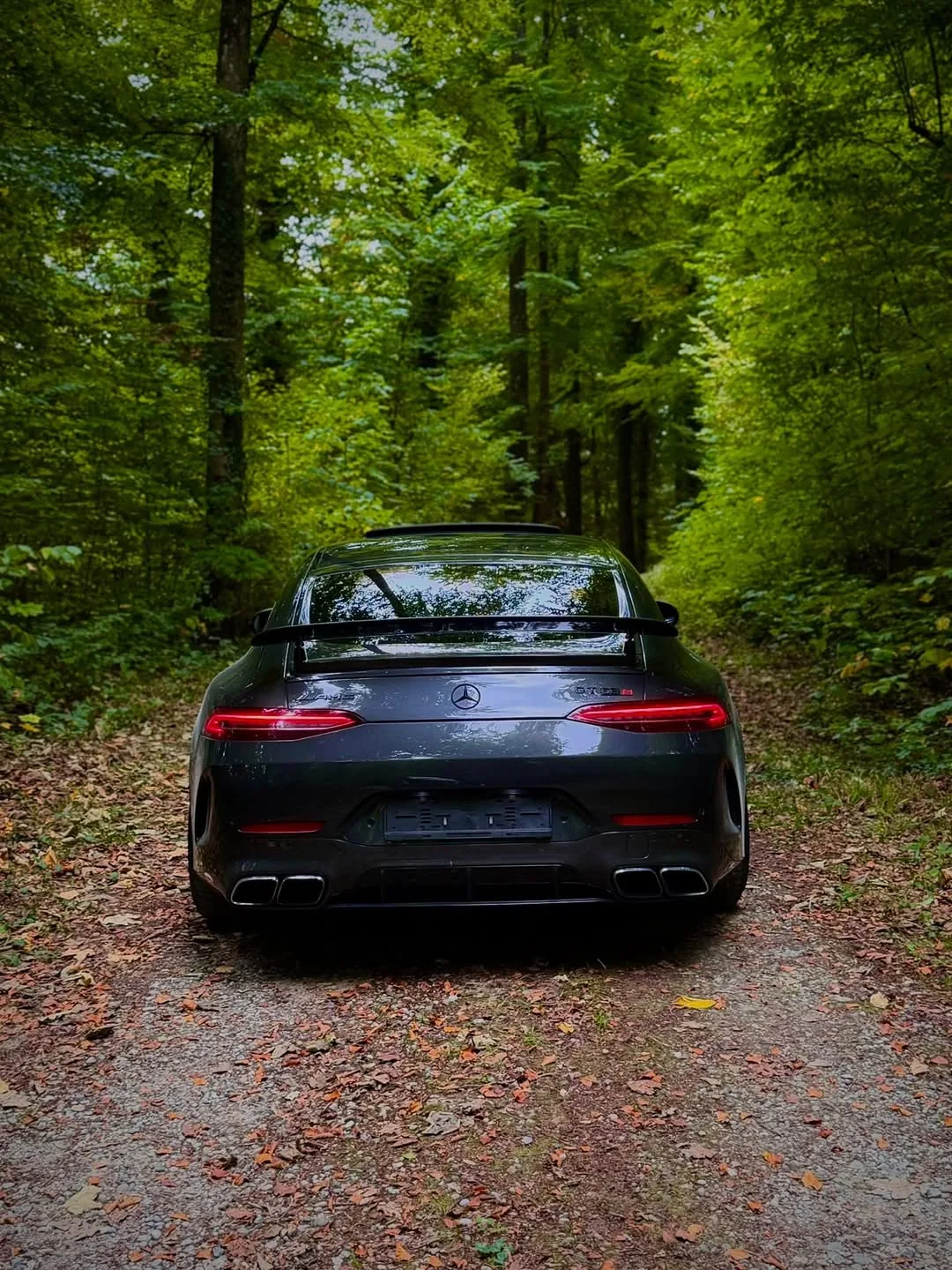 Mercedes-AMG GT 63 S · Grau – Heckansicht im Wald