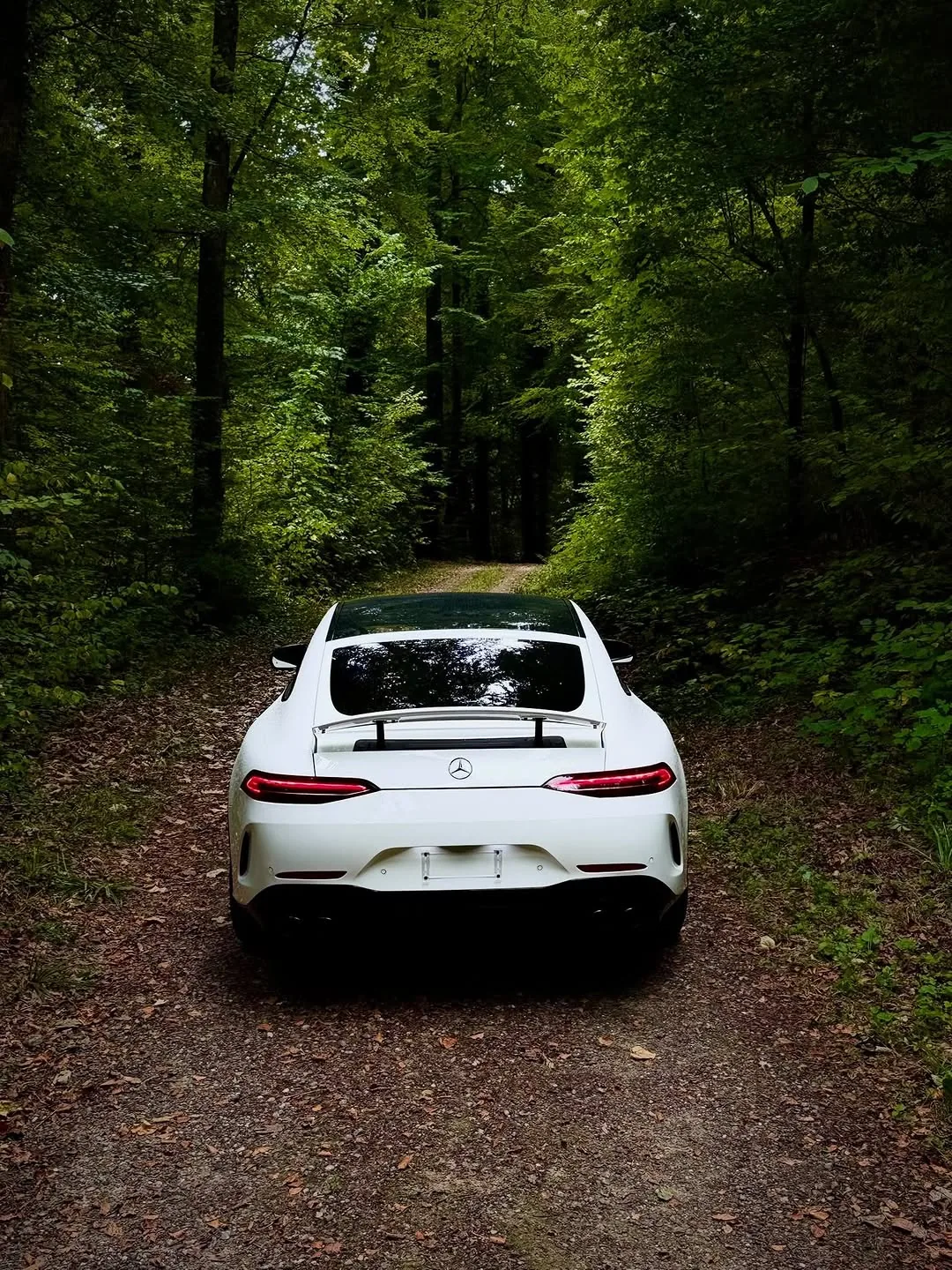 Mercedes-AMG GT 63 S · Weiss – Heckansicht im Wald